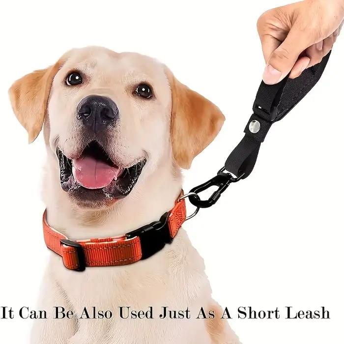 Laisse rétractable automatique pour chiens