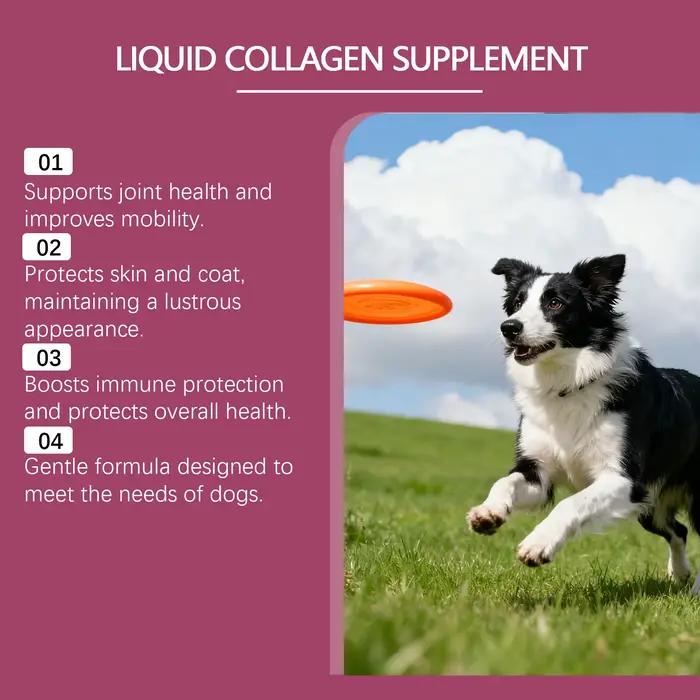 Gouttes nutritionnelles au collagène pour chien – Soutien articulaire
