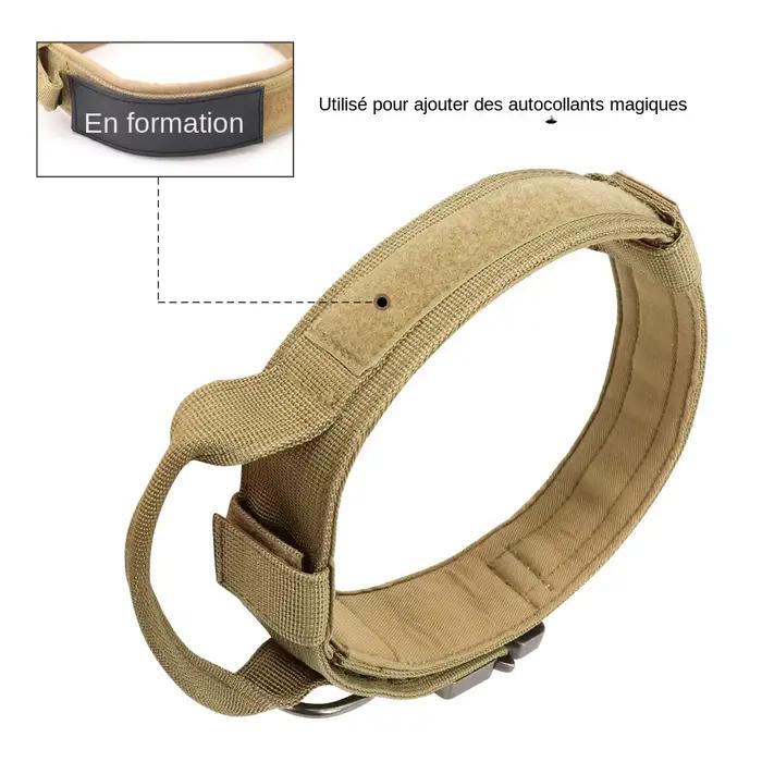 Collier tactique militaire pour chien solide