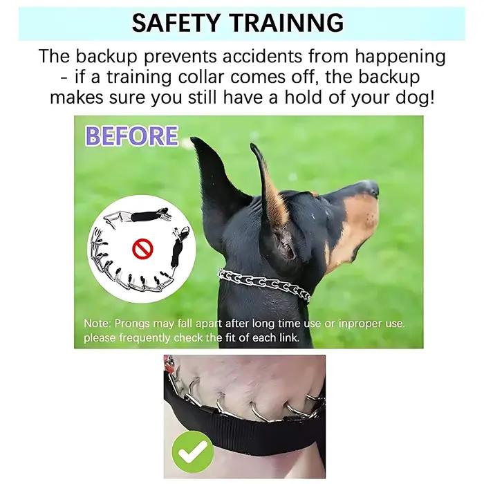 Collier d'entraînement à griffes pour chien