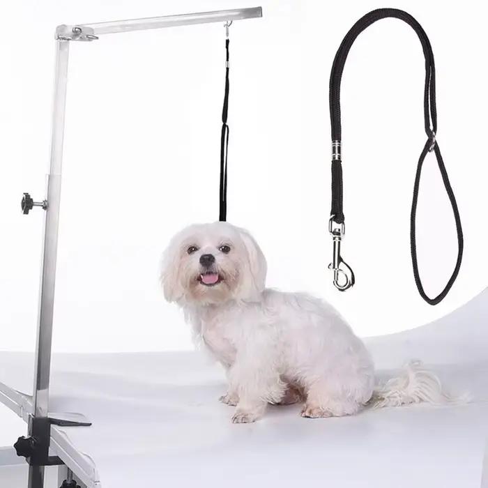 Laisse réglable et Durable pour chien