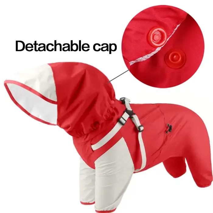 Manteau imperméable pour chien