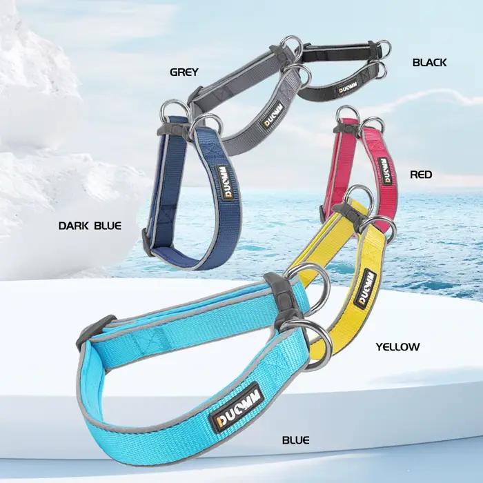 Collier pour chien de taille moyenne à grande
