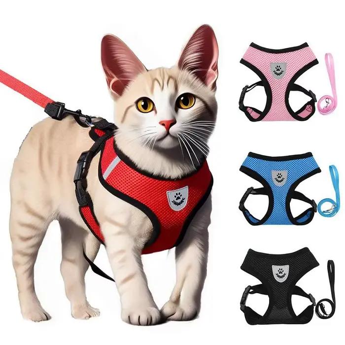 Laisse et harnais pour chat