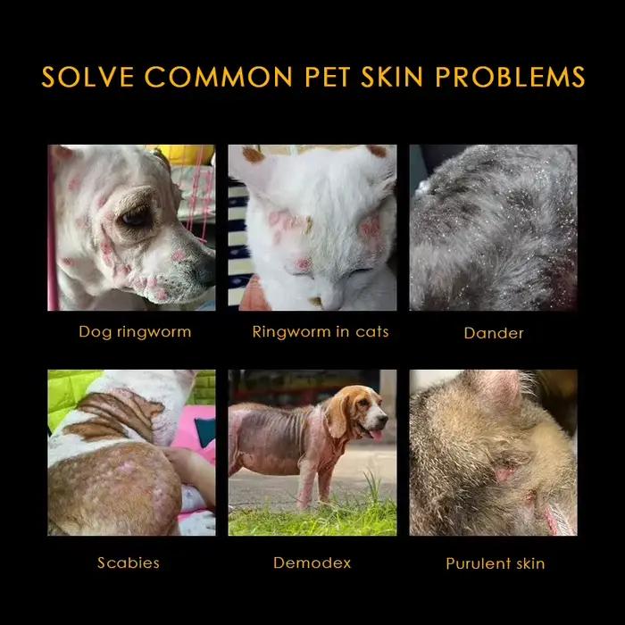 NOUVELLE Pommade anti-démangeaisons pour animaux de compagnie : Soulagement rapide des problèmes de mycose/acariens