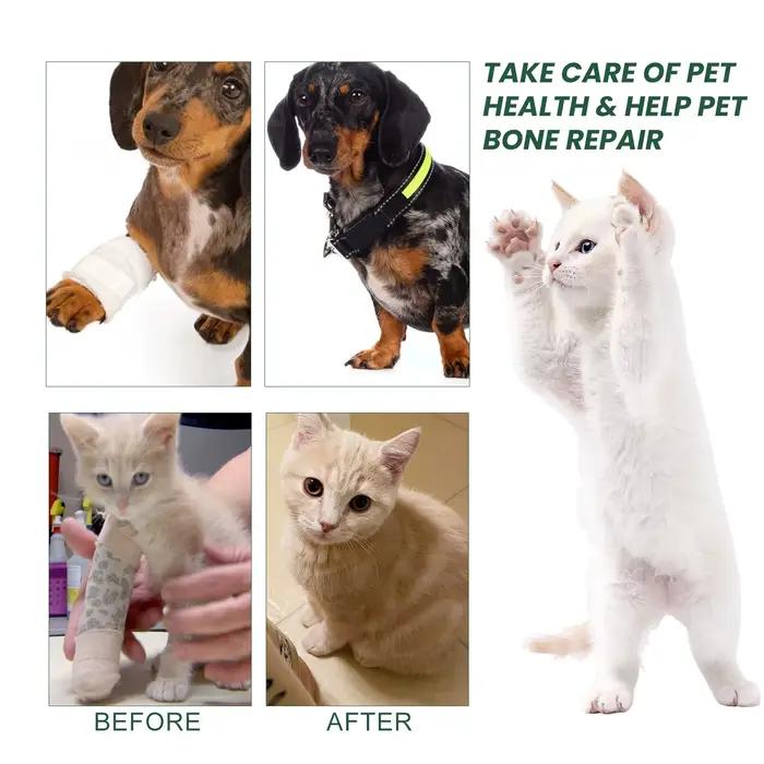 Gouttes de soins articulaires pour chien