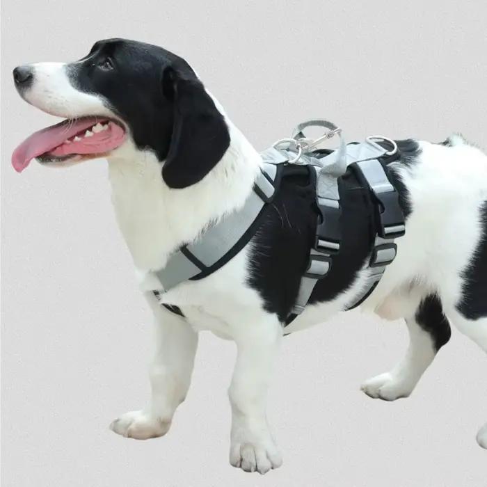 Harnais réglable anti-traction pour chien et laisse d'entraînement robuste anti-évasion pour chiens de taille moyenne à