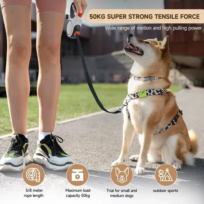 Laisse Rétractable 5m 8m 50kg pour Chien