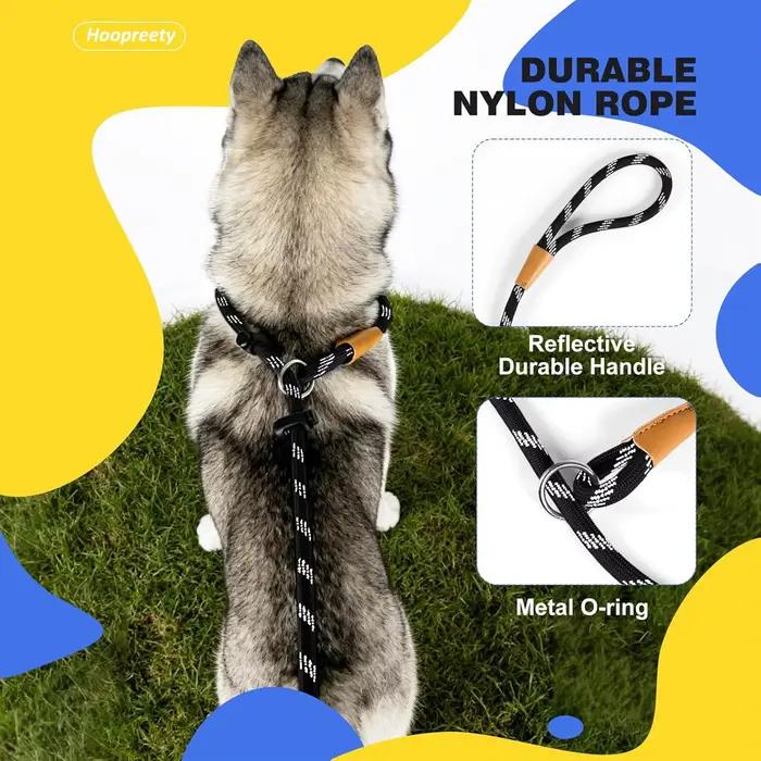 Laisse de dressage pour chien 5/6 pieds
