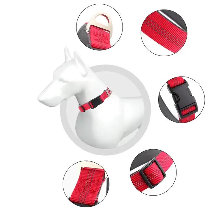 Colliers réglables en acier inoxydable pour animaux de compagnie