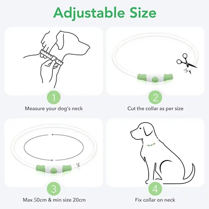 Collier de chien lumineux