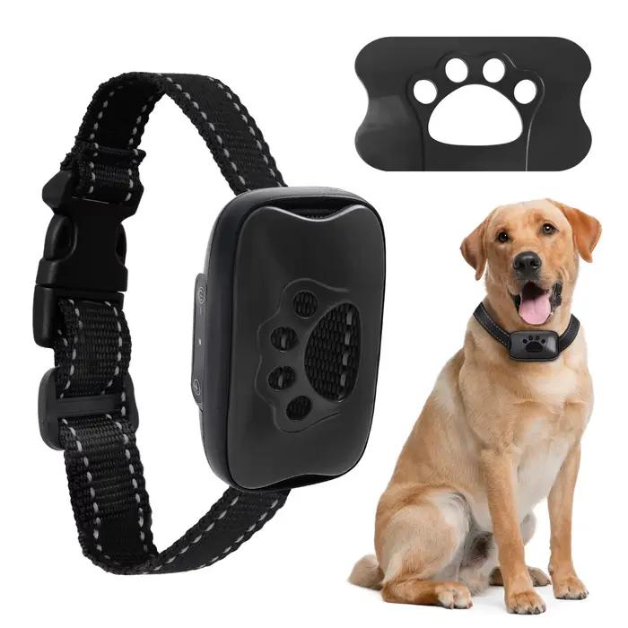 Collier Anti-aboiement pour chien