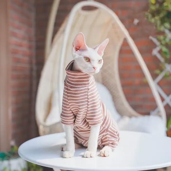 Vêtements d'hiver pour chat