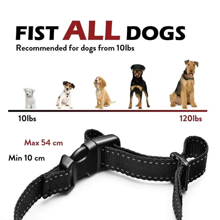 Collier anti-aboiement pour chien