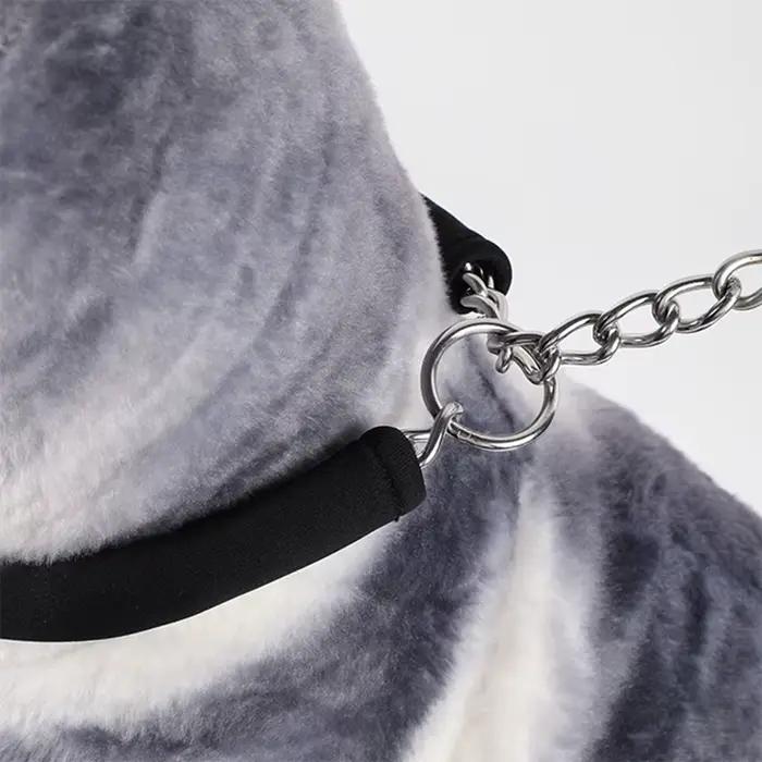 Collier pour chien en acier inoxydable