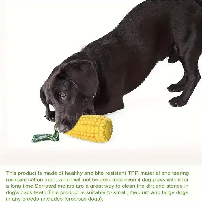Jouets à mâcher pour chiens pour mâcheurs agressifs