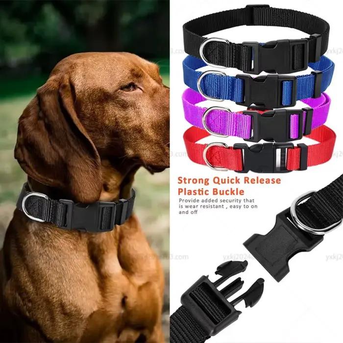 Collier réglable pour chien en Nylon