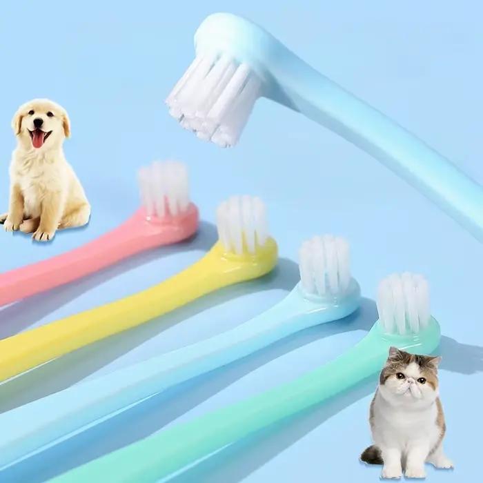 Brosse à dents pour chien