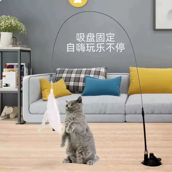 Jouet interactif pour chat : Canne de pêche interactive pour chatons