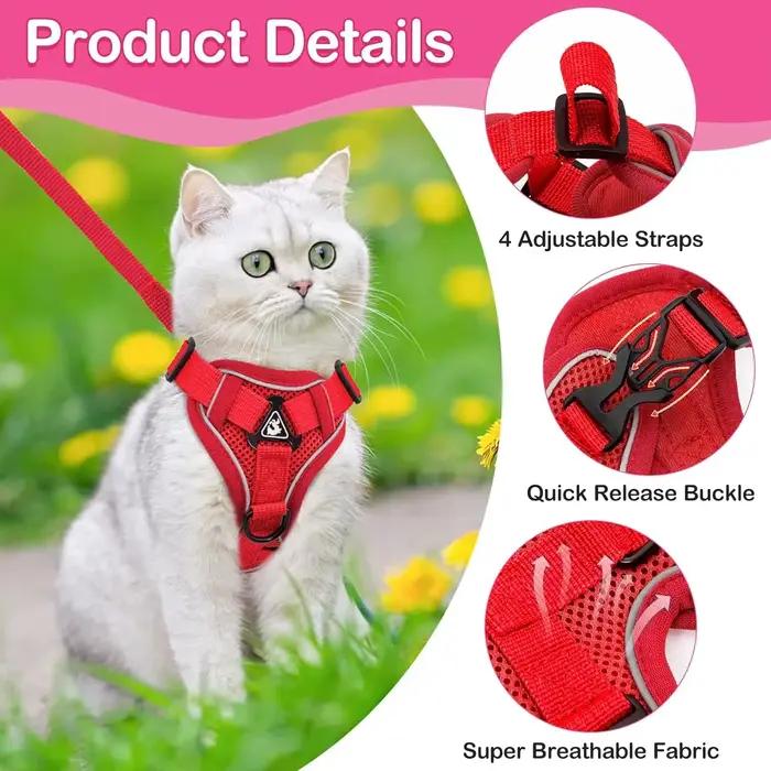 Ensemble harnais et laisse pour chat