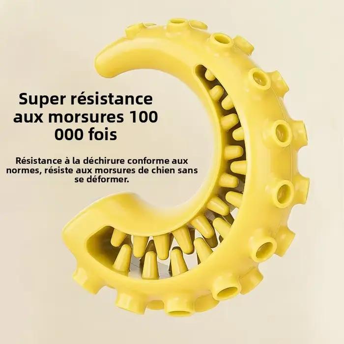 Jouets pour chiens TPR pour chiens de petite et moyenne taille