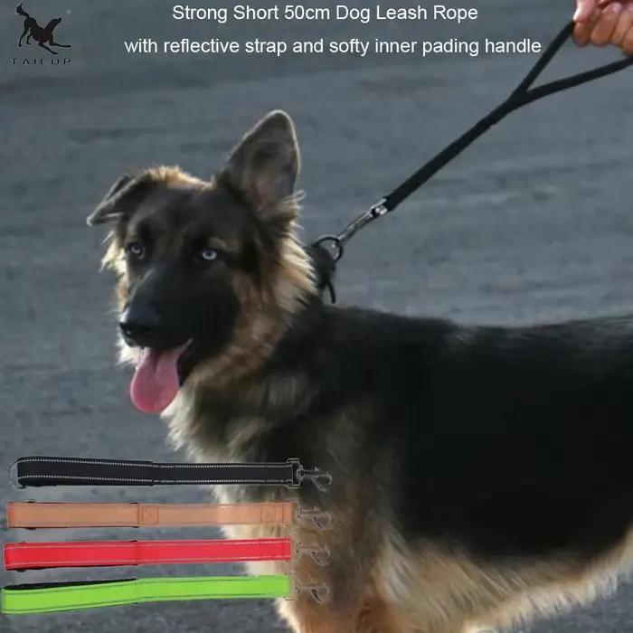 Laisses courtes pour chiens