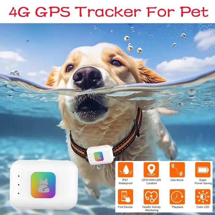 Localisateur GPS pour animaux de compagnie