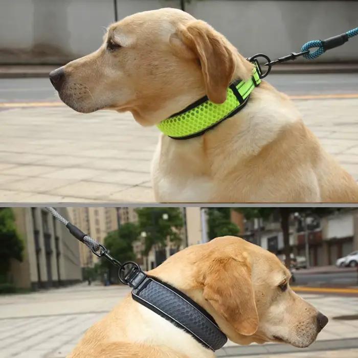 Collier réfléchissant en Nylon pour chien