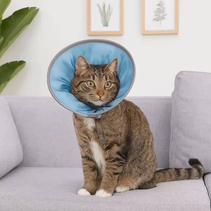 Collier anti-léchage pour animaux de compagnie