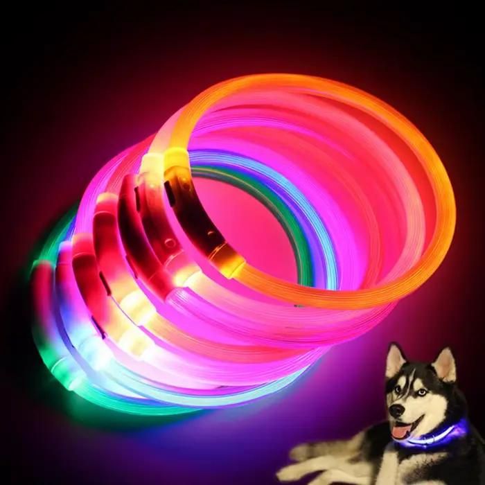 Collier de chien à lumière LED