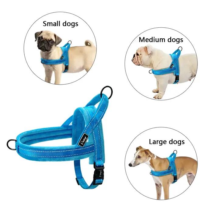 Sangle rembourrée en nylon chaud pour chien sans nervure