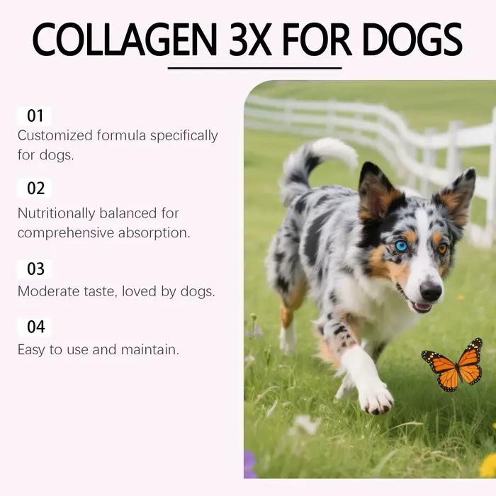 Gouttes de collagène pour chien 60 ml