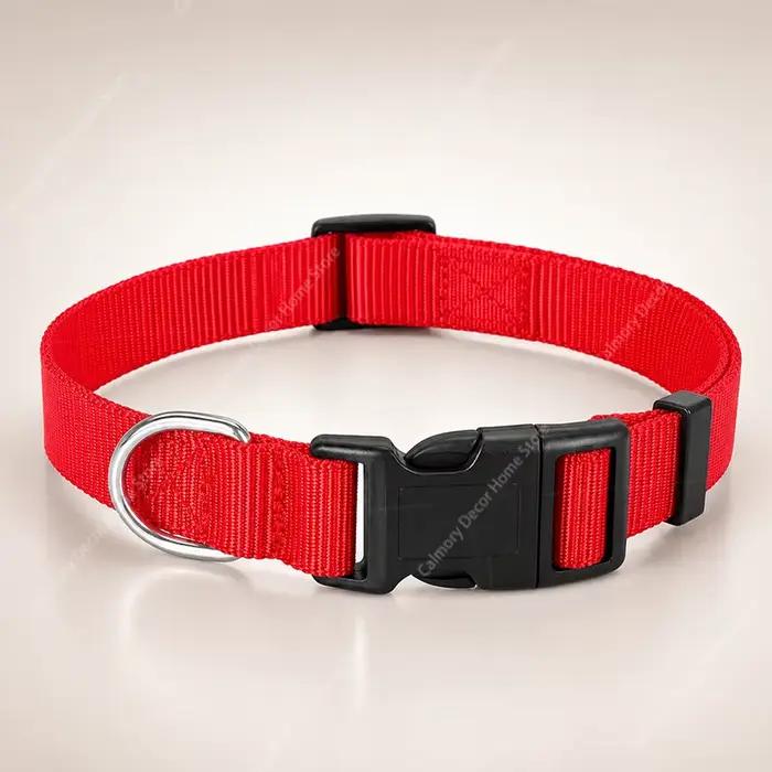 Collier réglable pour chien