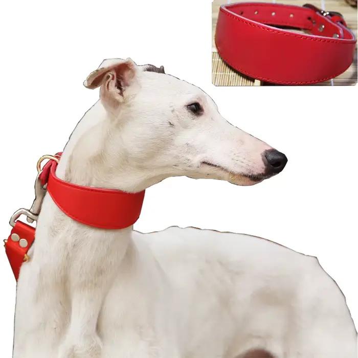Collier de chien de compagnie en peau de vache
