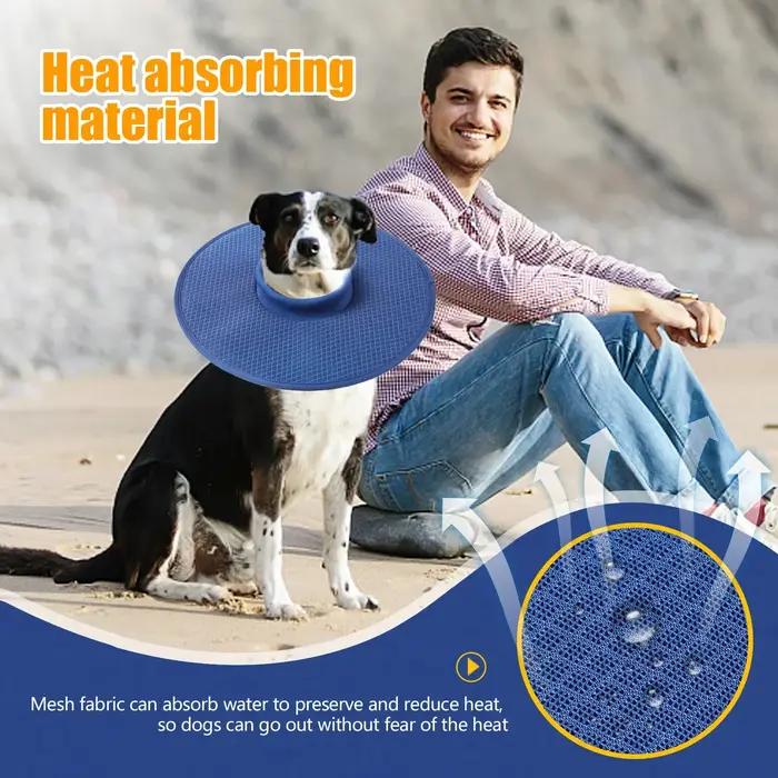 Collier de Récupération pour Chien après Chirurgie