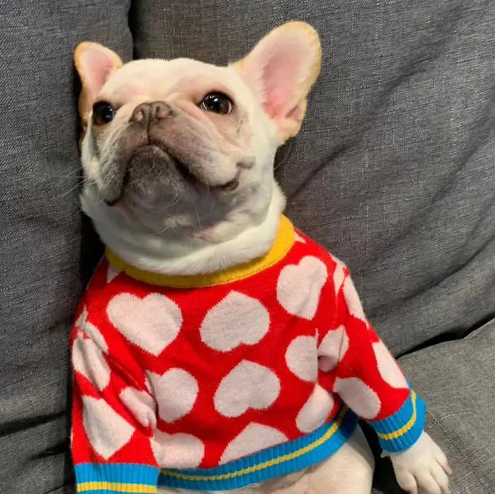 Manteau d'hiver chaud en forme de cœur pour animaux de compagnie, pour chiens de petite à moyenne taille, vêtements pour chiots Chihuahua, vêtements d'extérieur pour animaux mignons pour temps froid