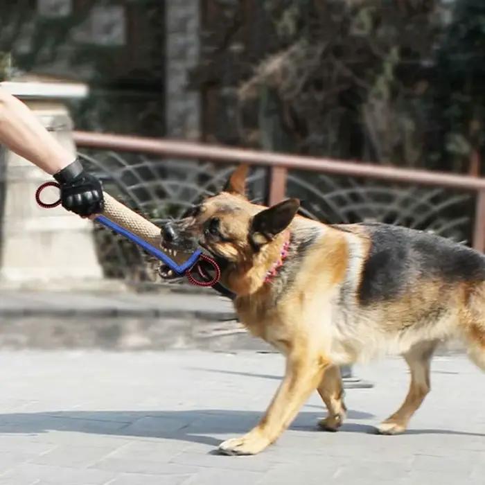 Bâtons à mâcher en jute robuste pour chien