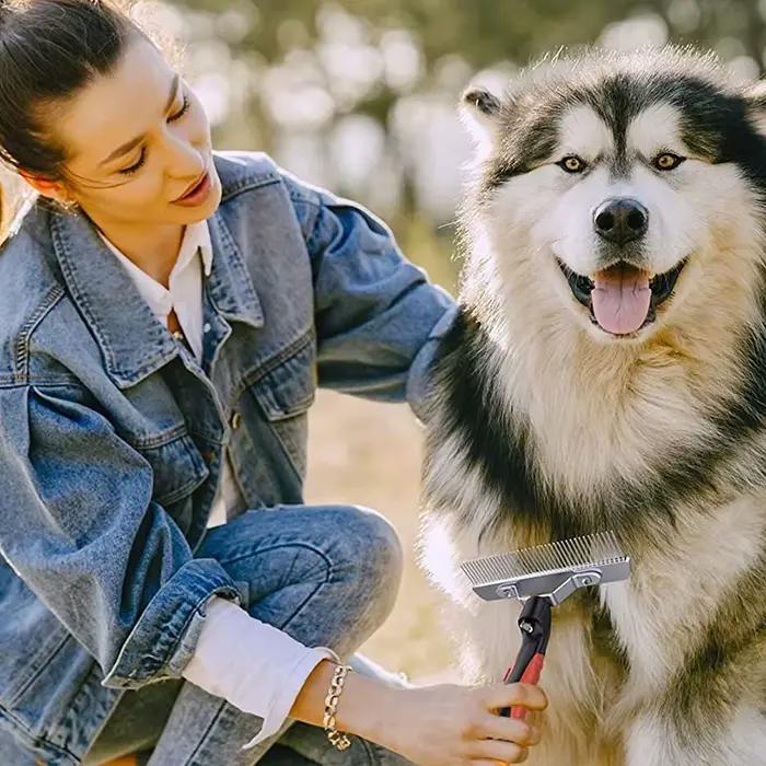 Grande brosse de toilettage pour chiens