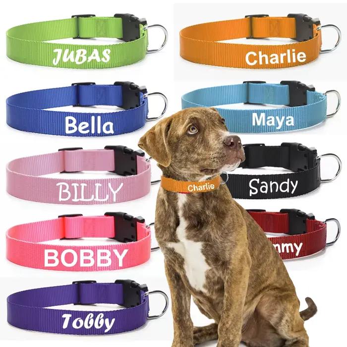 Collier de chien personnalisé pour animaux de compagnie