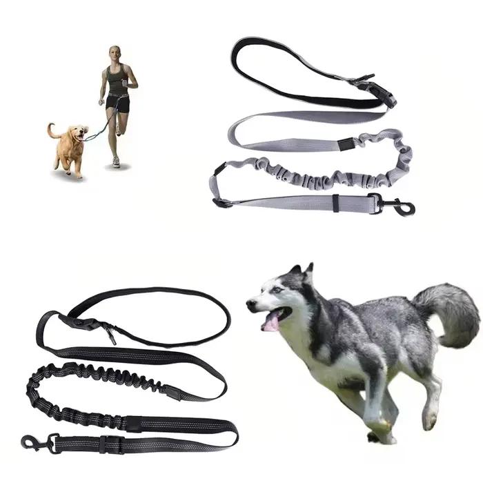 Laisse de chien mains libres pour animaux de compagnie marche course Jogging