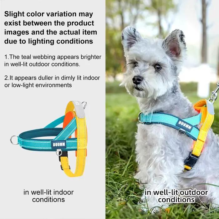 Harnais pour chien anti-traction en T