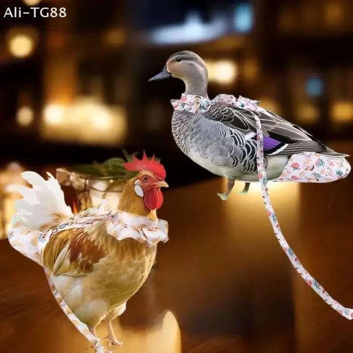 1/2 Pièces Ensemble de laisse de traction pour animaux de compagnie