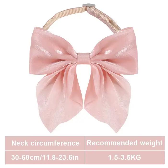 Collier pour chat réglable