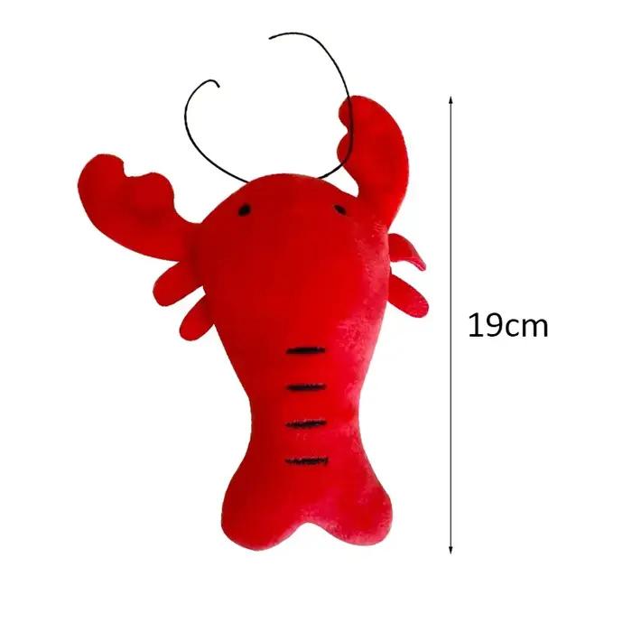Jouets à mâcher en peluche pour petits chiens et chats