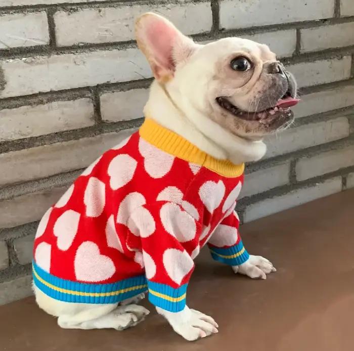 Manteau d'hiver chaud en forme de cœur pour animaux de compagnie, pour chiens de petite à moyenne taille, vêtements pour chiots Chihuahua, vêtements d'extérieur pour animaux mignons pour temps froid