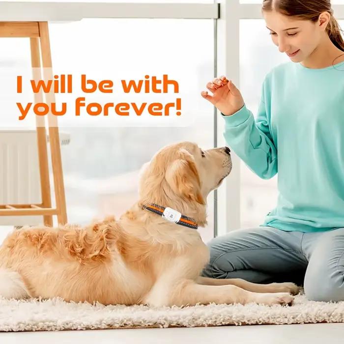 Localisateur GPS pour animaux de compagnie