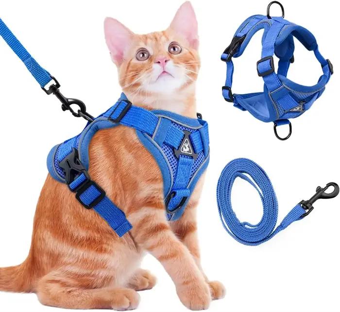 Ensemble harnais et laisse pour chat