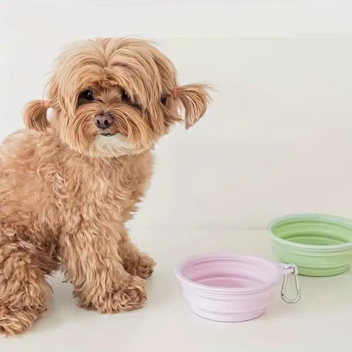 Bol pliable en silicone pour animaux de compagnie
