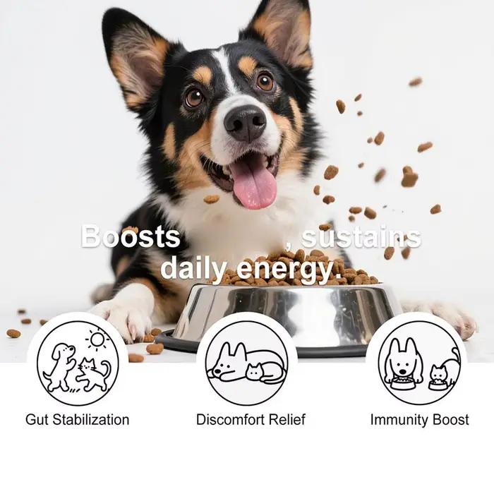 Poudre Probiotique Saveur Bacon pour Chiens – Équilibre de la Flore Intestinale