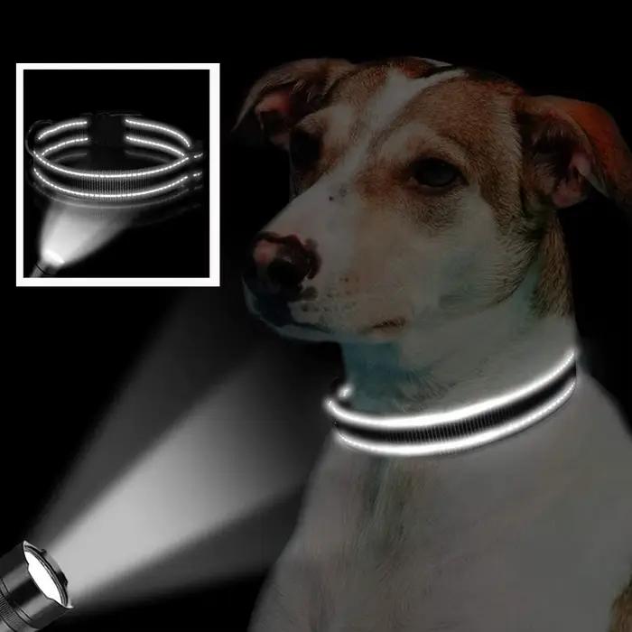 Collier réfléchissant pour chien